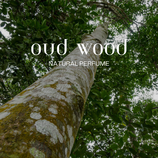 OUD WOOD - Wild Revival Organics